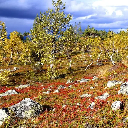 Hullu Poro Hotel Levi