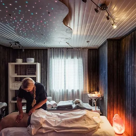 Hotel Hullu Poro Levi