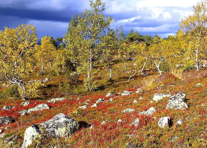 Hullu Poro Hotel Levi